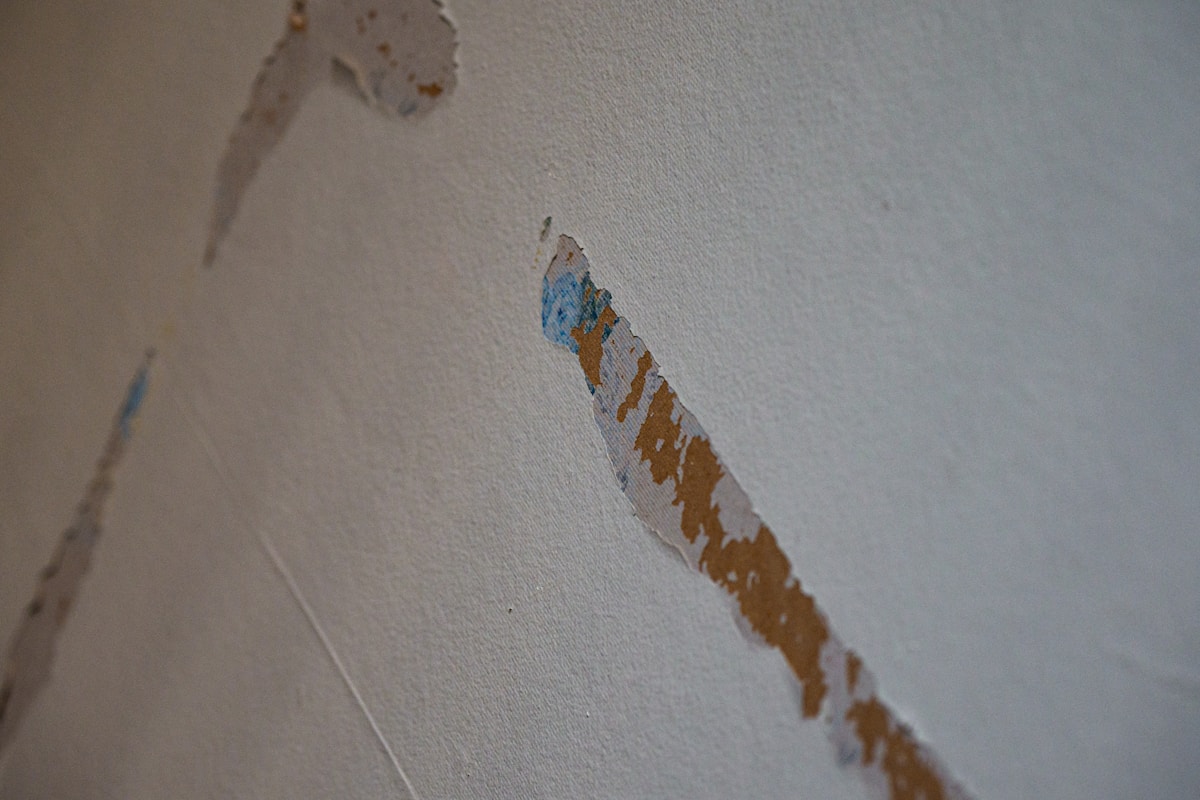 Basement Water Removal service in Nashua, NH